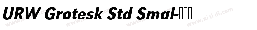 URW Grotesk Std Smal字体转换